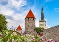 St. OlafÃ¢â¬â¢s Church tower and Walls of old Tallinn, Estonia